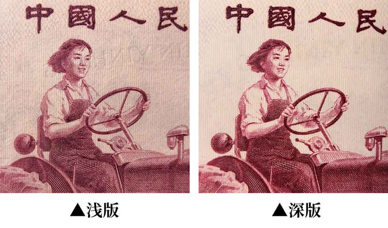 5343434.jpg