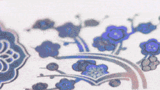 6.gif