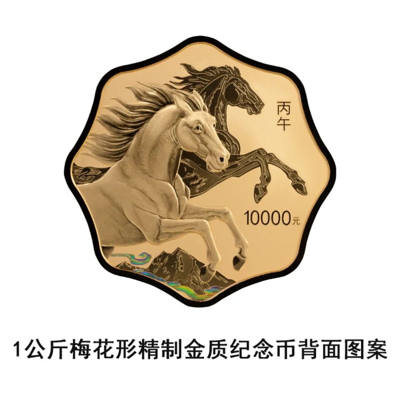 13_resized.jpg 13_resized.jpg